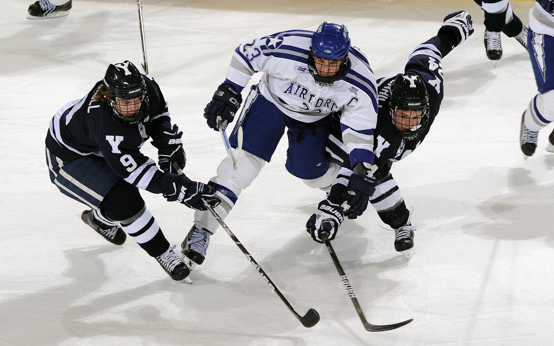开拓者骑士激战，场上打法展现精彩绝伦，开拓者vs骑士录播
